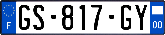 GS-817-GY