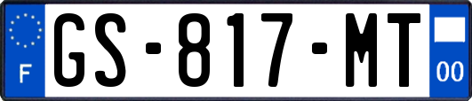 GS-817-MT