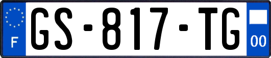 GS-817-TG