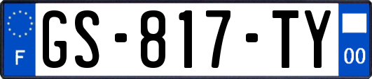 GS-817-TY