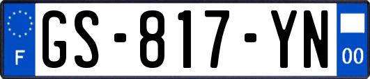 GS-817-YN