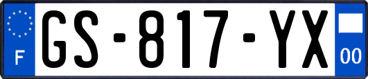 GS-817-YX