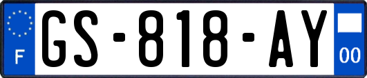 GS-818-AY