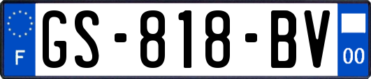 GS-818-BV