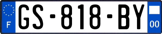 GS-818-BY