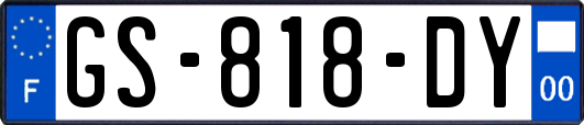 GS-818-DY
