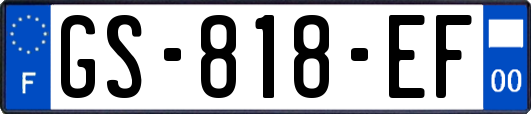 GS-818-EF