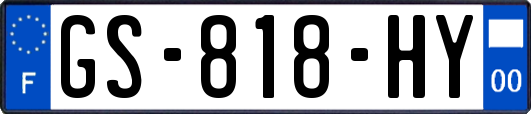 GS-818-HY
