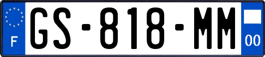 GS-818-MM