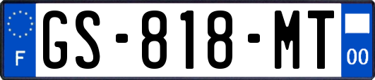 GS-818-MT