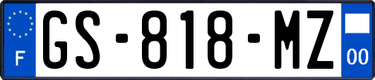GS-818-MZ