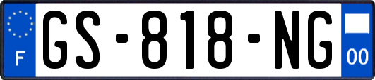 GS-818-NG