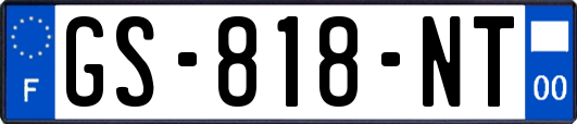 GS-818-NT