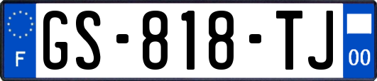 GS-818-TJ
