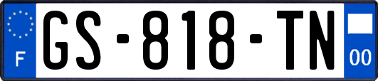 GS-818-TN