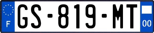 GS-819-MT