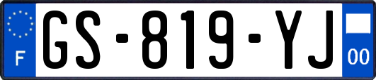 GS-819-YJ