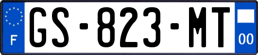 GS-823-MT