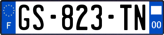 GS-823-TN