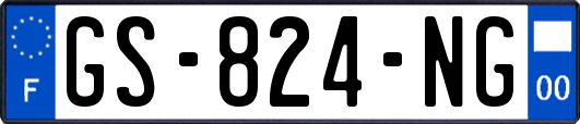 GS-824-NG