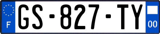 GS-827-TY