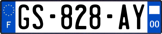 GS-828-AY