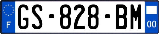 GS-828-BM