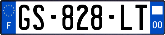GS-828-LT