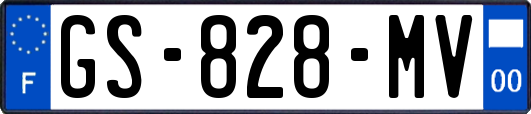 GS-828-MV