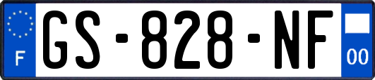 GS-828-NF