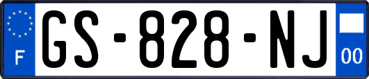 GS-828-NJ