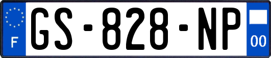 GS-828-NP