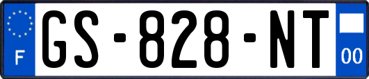 GS-828-NT
