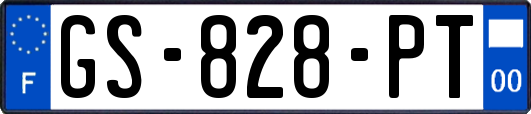 GS-828-PT