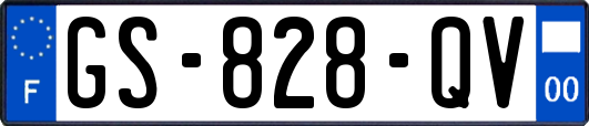 GS-828-QV