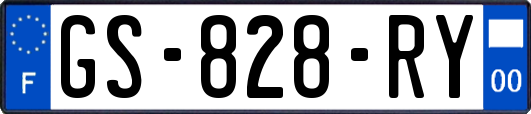 GS-828-RY