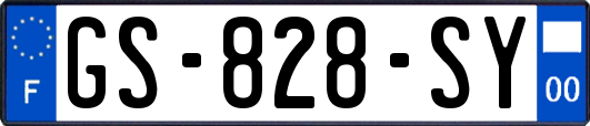 GS-828-SY