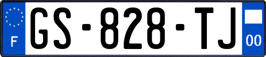GS-828-TJ