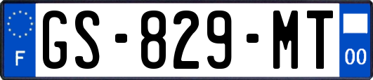 GS-829-MT