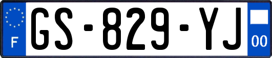 GS-829-YJ