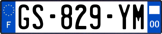 GS-829-YM