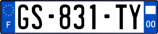GS-831-TY