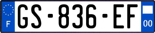 GS-836-EF