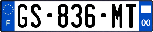 GS-836-MT