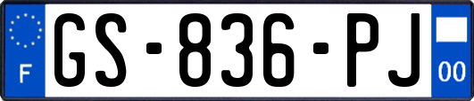 GS-836-PJ