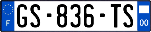 GS-836-TS