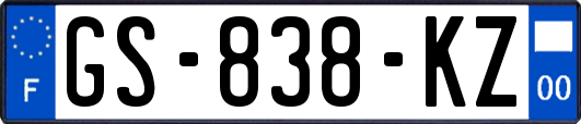 GS-838-KZ