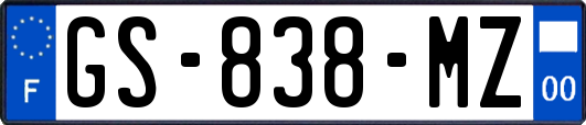 GS-838-MZ