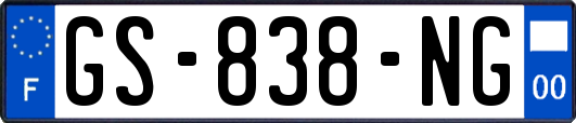 GS-838-NG