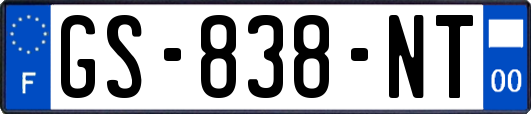 GS-838-NT